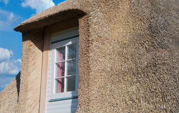 Duncanstone thatch roof disadvantages